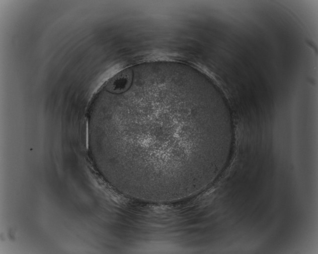 X0000101111219200807031732