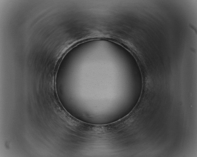 X0000101111220200807031732