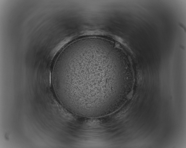 X0000101111221200807031732