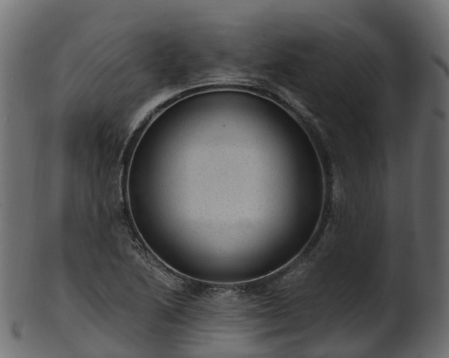 X0000101111222200807031732