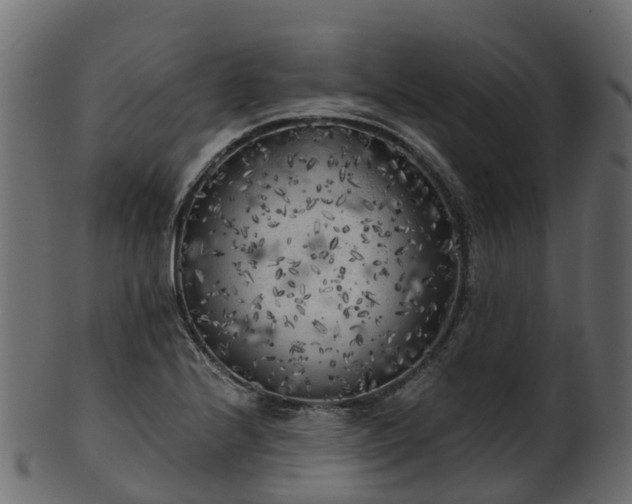 X0000101111224200807031732