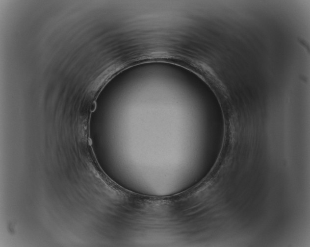 X0000101111225200807031732