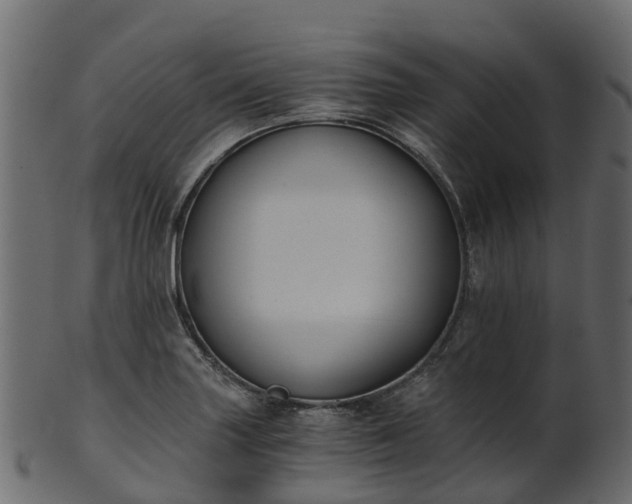 X0000101111227200807031732