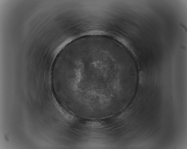 X0000101111229200807031732