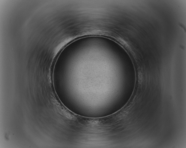 X0000101111230200807031732