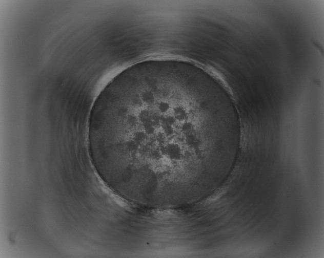 X0000101111231200807031732