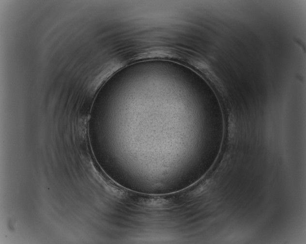 X0000101111233200807031732
