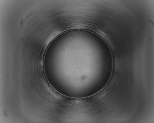 X0000101111234200807031732