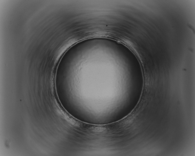 X0000101111235200807031732