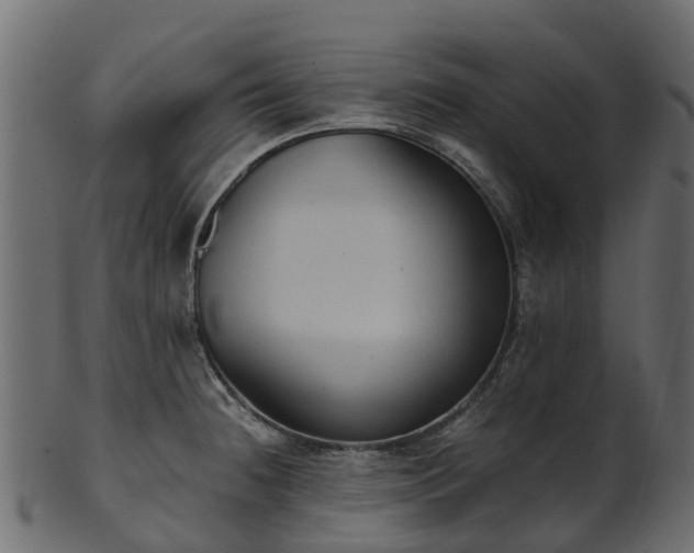 X0000101111236200807031732