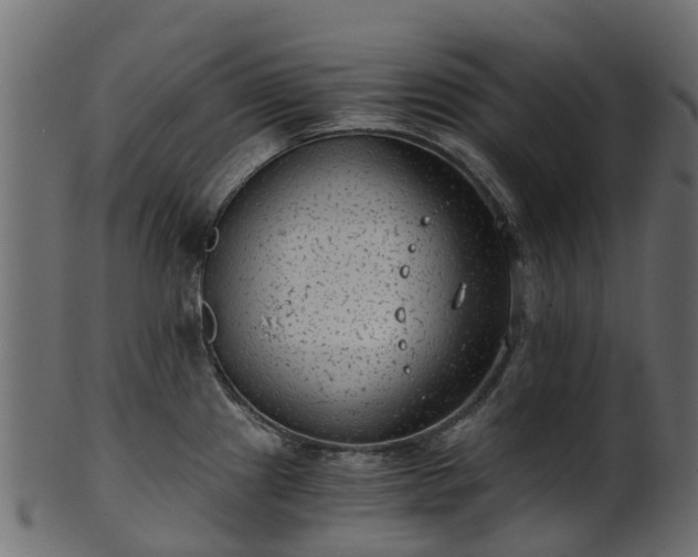 X0000101111241200807031732