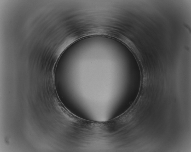 X0000101111242200807031732