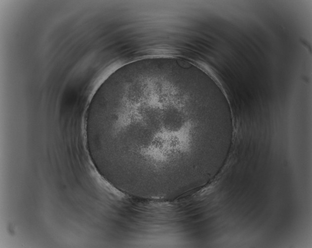 X0000101111243200807031732