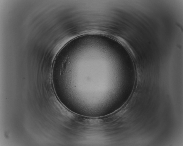 X0000101111244200807031732