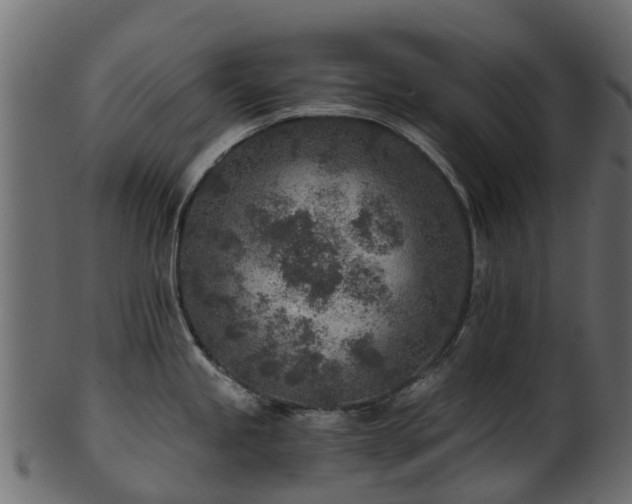 X0000101111245200807031732