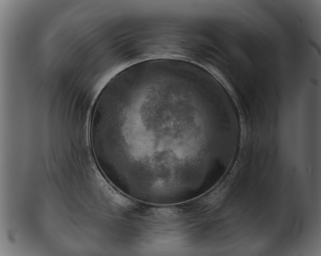 X0000101111246200807031732