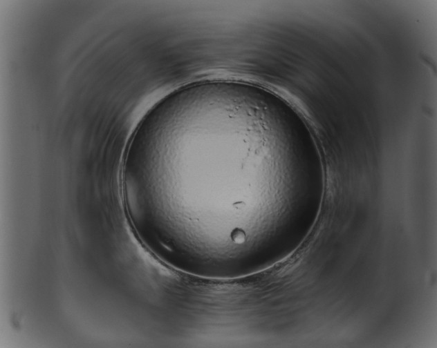 X0000101111247200807031732