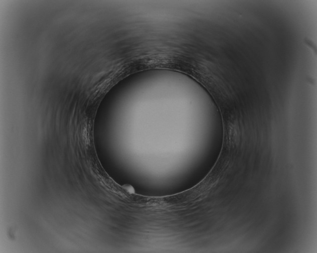 X0000101111250200807031731