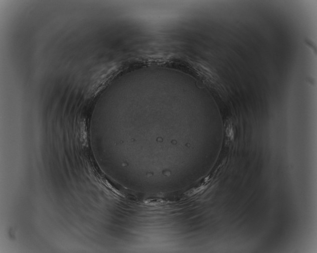X0000101111252200807031731