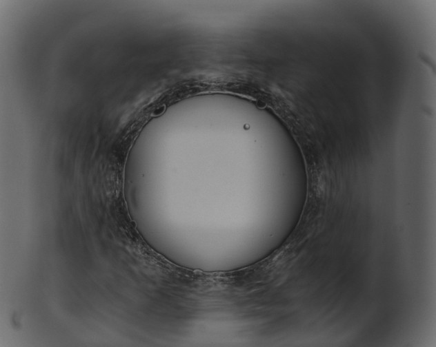 X0000101111253200807031731