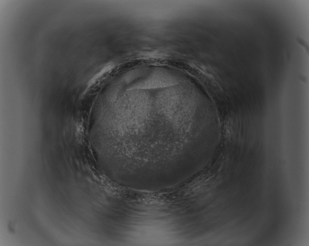 X0000101111254200807031731