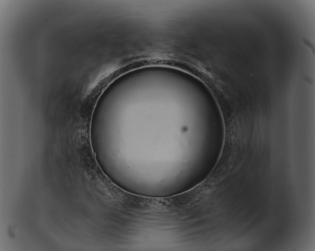 X0000101111255200807031731
