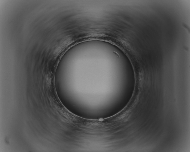 X0000101111257200807031731
