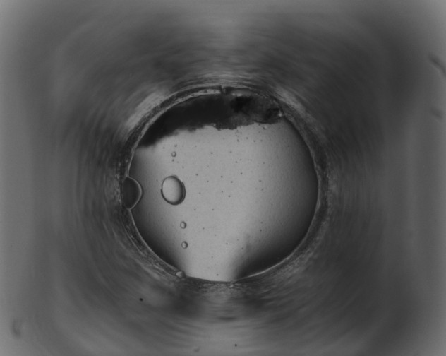 X0000101111259200807031731