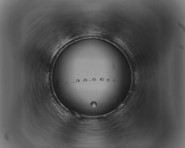 X0000101111260200807031731