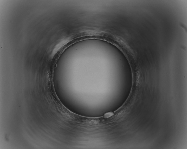 X0000101111261200807031731