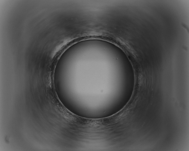 X0000101111262200807031731