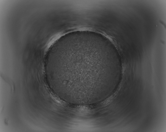 X0000101111263200807031731