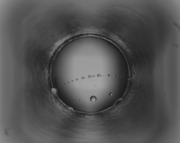 X0000101111264200807031731