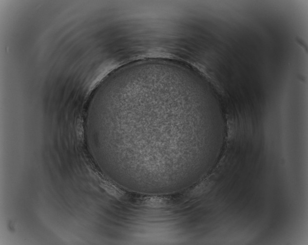 X0000101111266200807031731