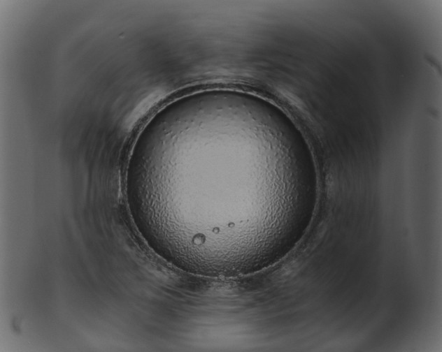 X0000101111267200807031731