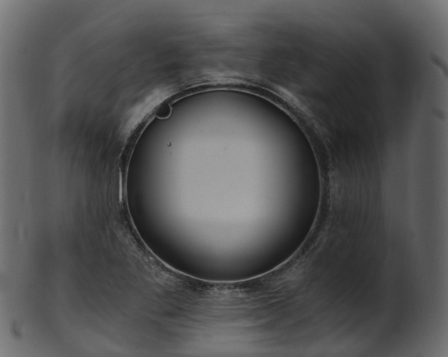 X0000101111269200807031731