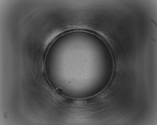 X0000101111271200807031731