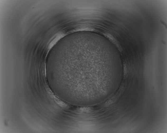 X0000101111274200807031731