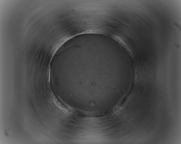 X0000101111276200807031731