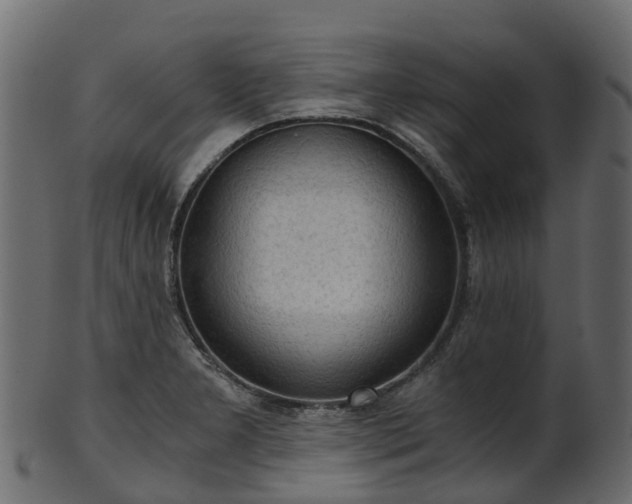 X0000101111277200807031731
