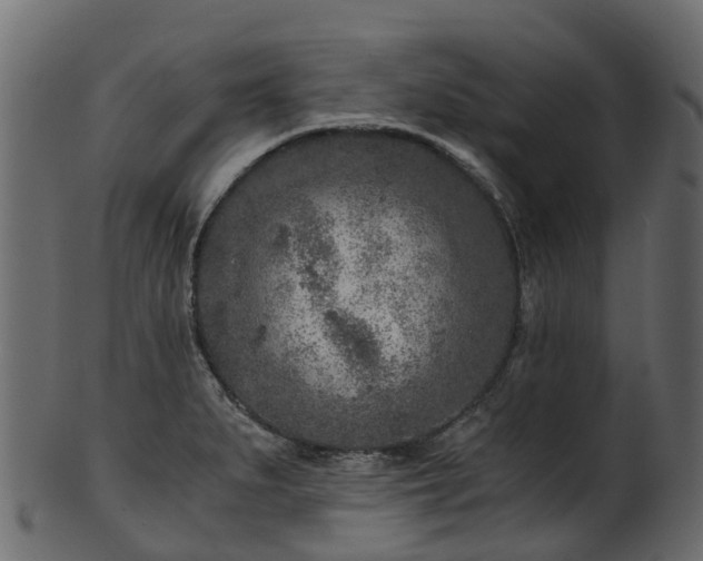 X0000101111279200807031731