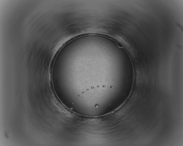 X0000101111280200807031731