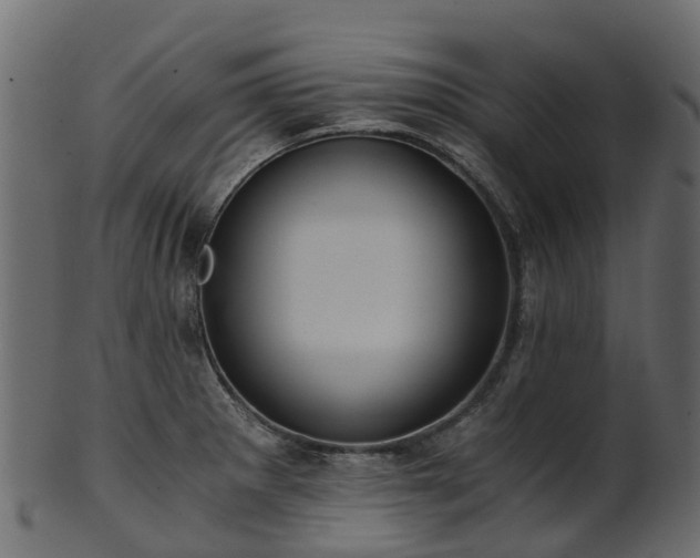 X0000101111281200807031731