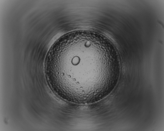 X0000101111283200807031731