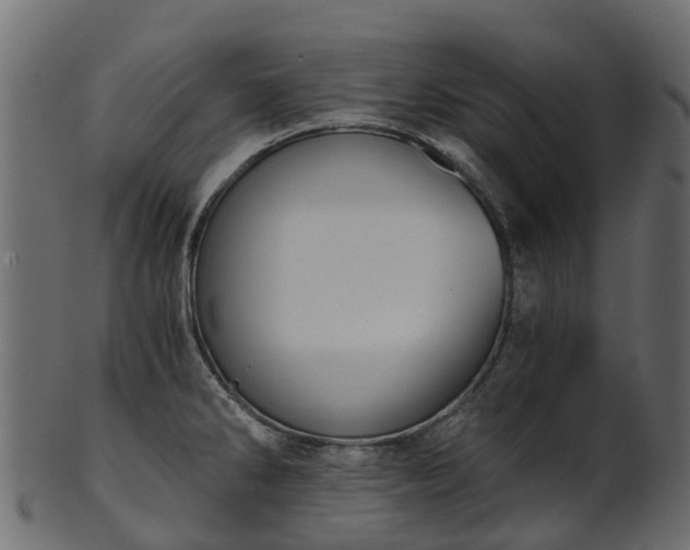 X0000101111286200807031731