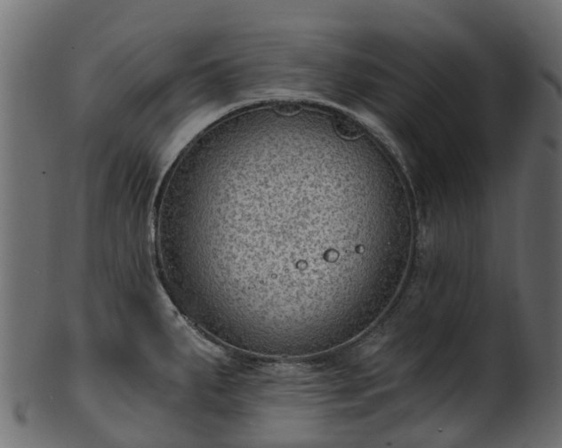 X0000101111287200807031731