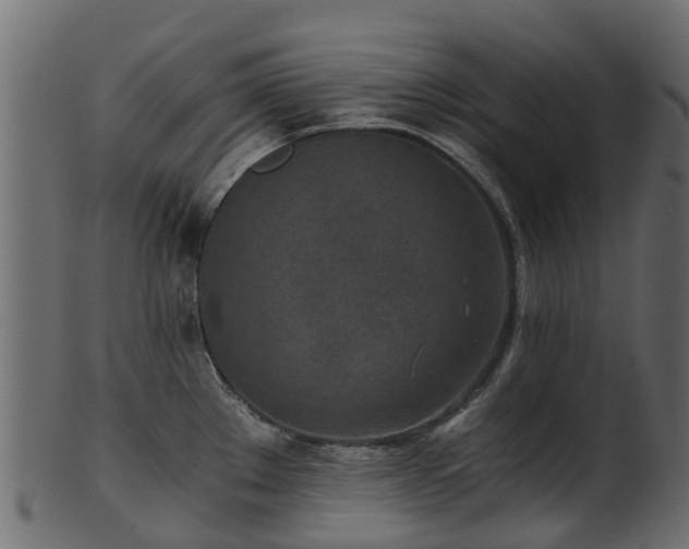 X0000101111289200807031731