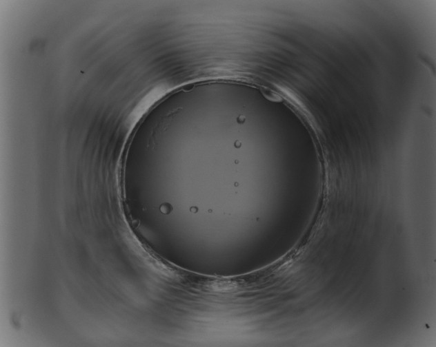 X0000101111291200807031731