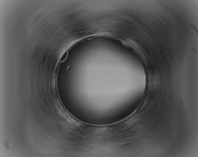 X0000101111292200807031731