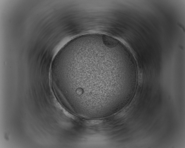X0000101111294200807031731